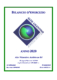 Bilancio 2020